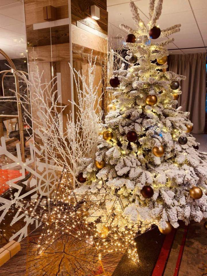 0345efdf ddc5 409e a87a 74b7604e2aa6