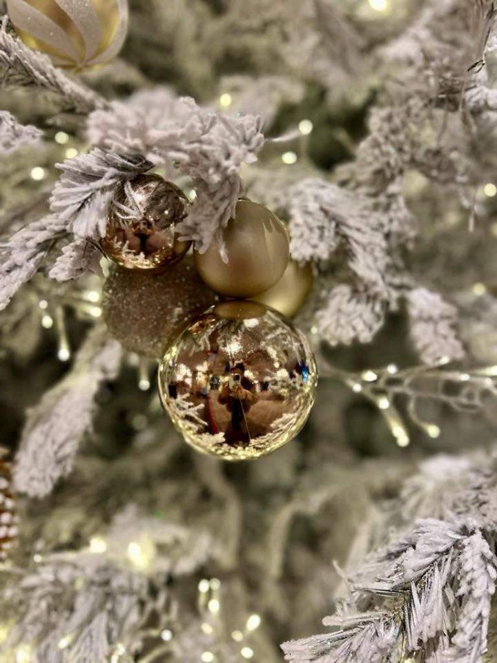 1cc9854e f77d 4c3d bcf9 38ece8b2821c