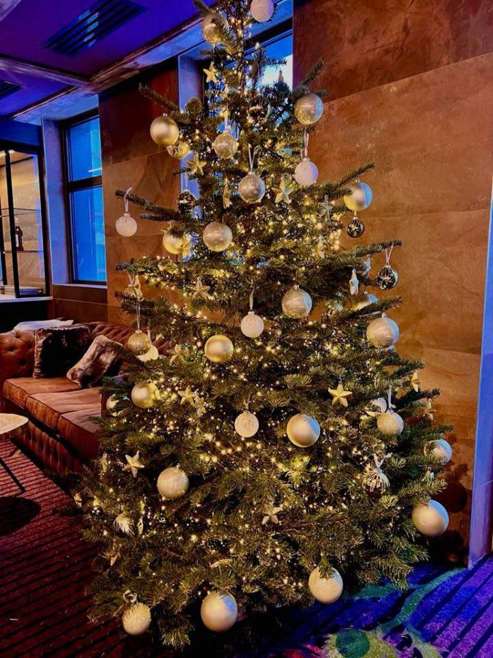 2bd2a59b cf6f 489e a579 243abda93b59