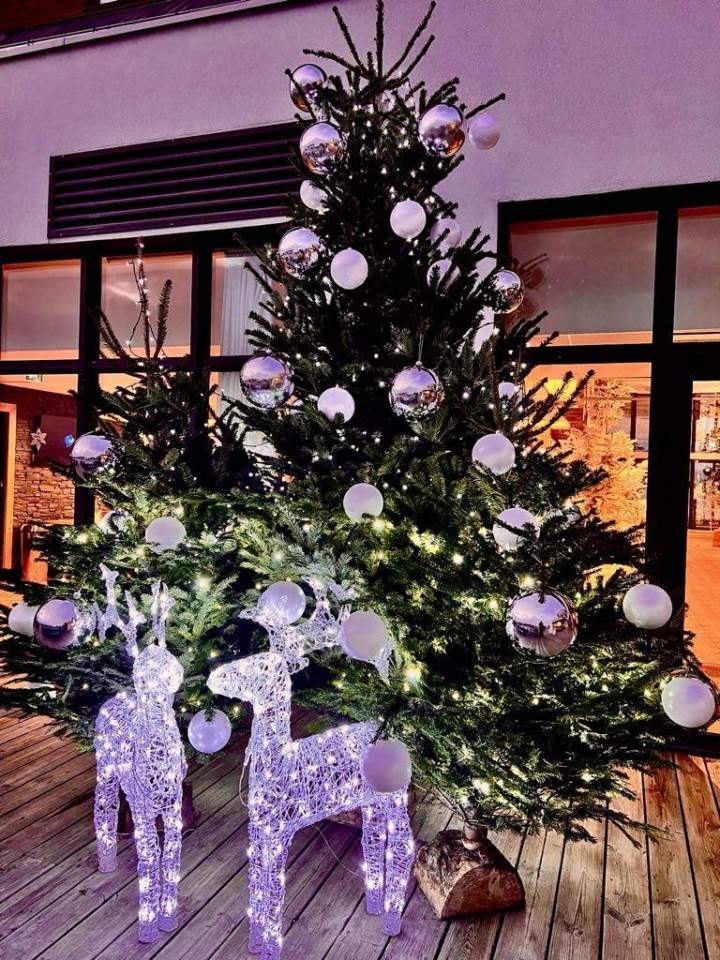 382db9e1 25fb 4898 af91 f93e1b5d372d