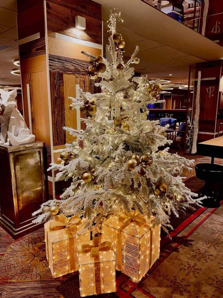 3bb0d8a4 7d95 4163 86a3 3b525641df83