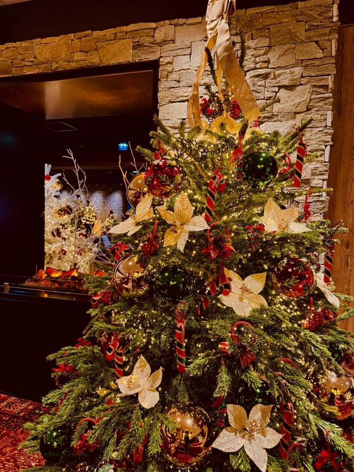 Décoration Club Med la Rosière
