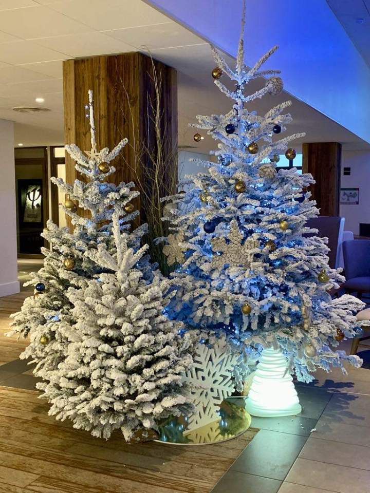 40fe2302 bc59 45d9 9b09 c470191ae687