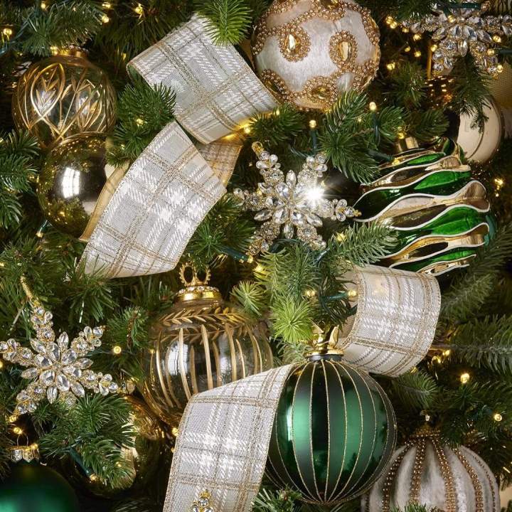 482210615 1032960845529156 744233720781877321 n