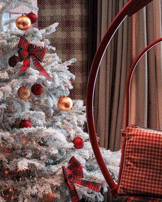 485766507 1055447446618283 791607103838821840 n