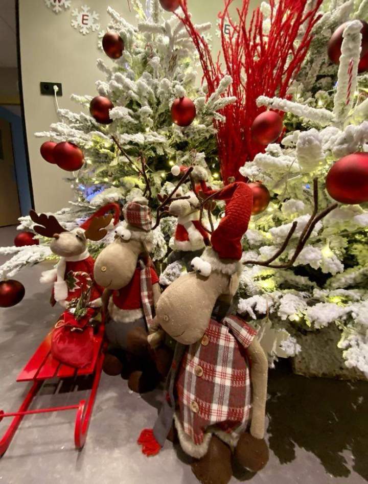 65a95a53 ec3f 4edc a5c9 3b5658e36c09