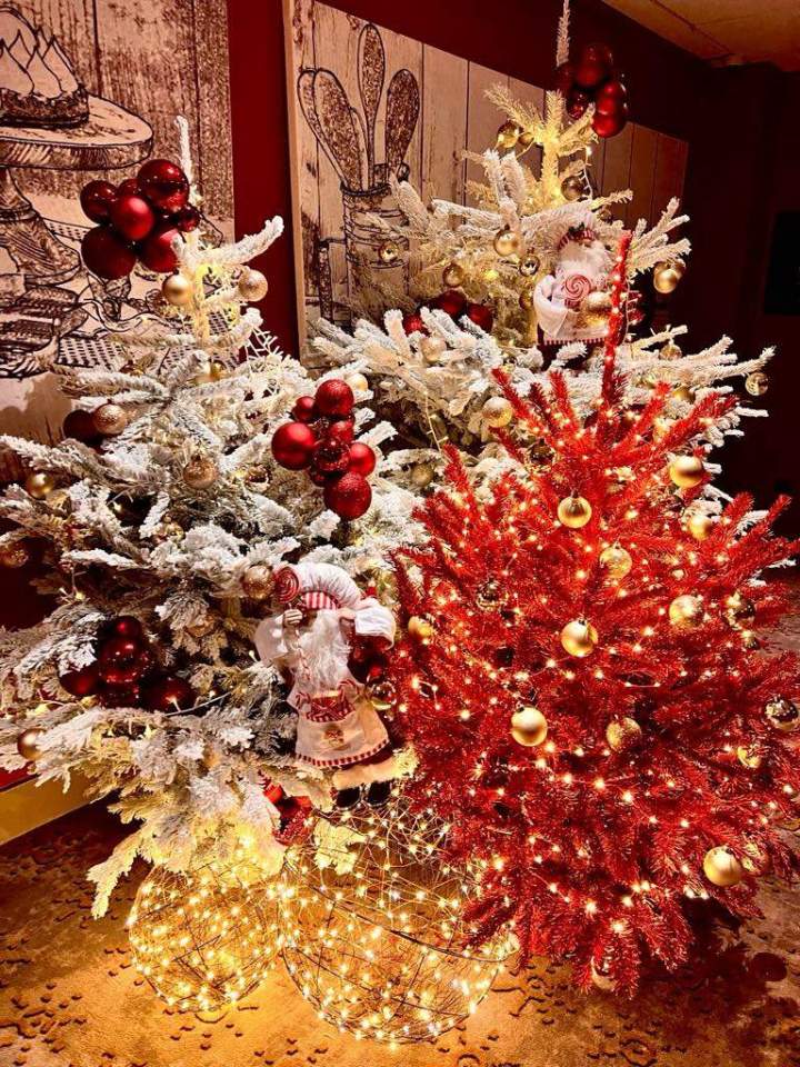 65d932b6 3616 4e38 98a1 4570f679ec97