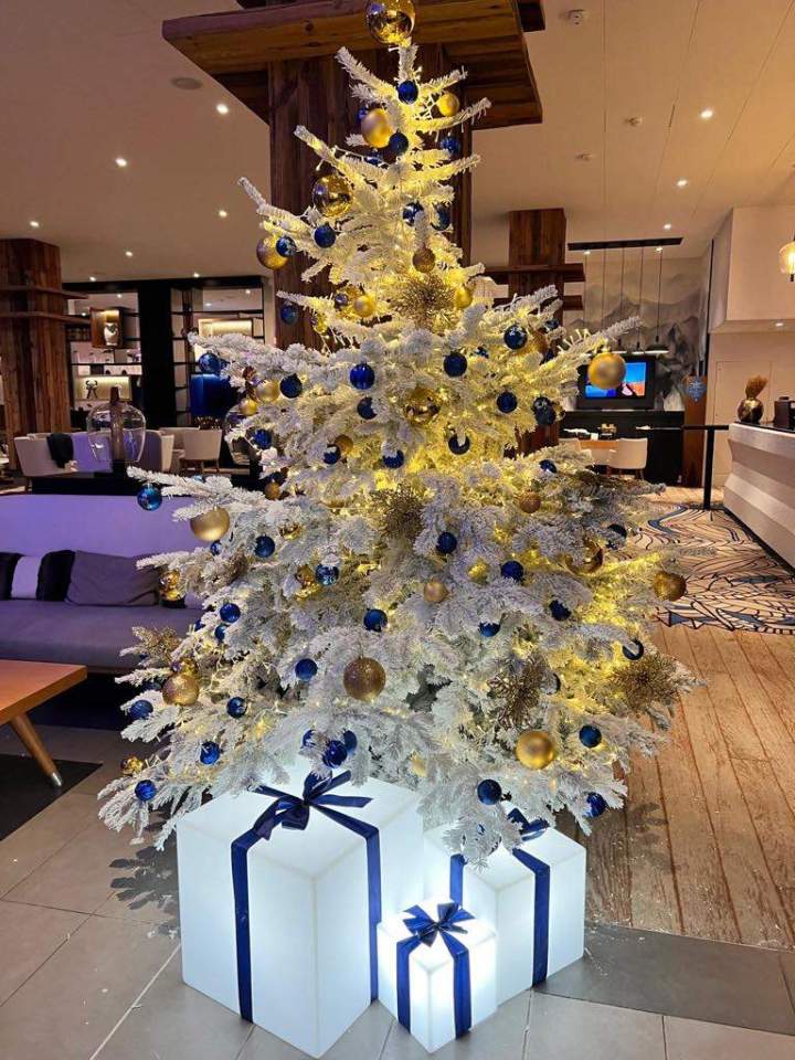 8067deb8 e743 43fa 922d b2afef782541