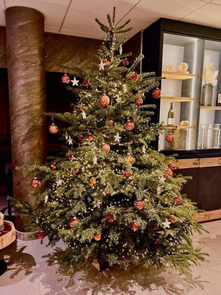 96e6bb7e 380e 4b81 9797 2c758975ab05