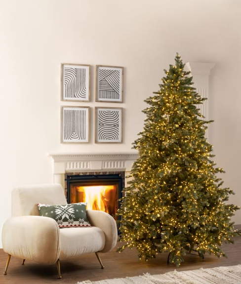 Capture d’écran 2025 11 24 143704