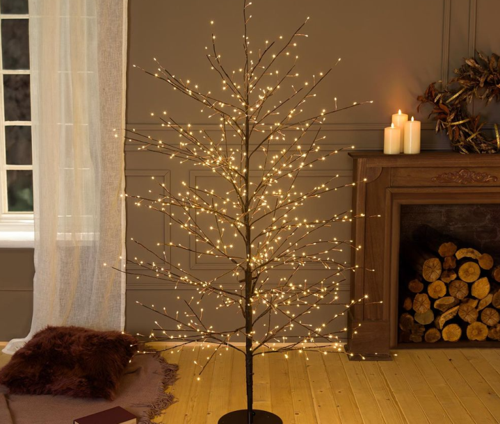 Capture d’écran 2025 11 24 180112