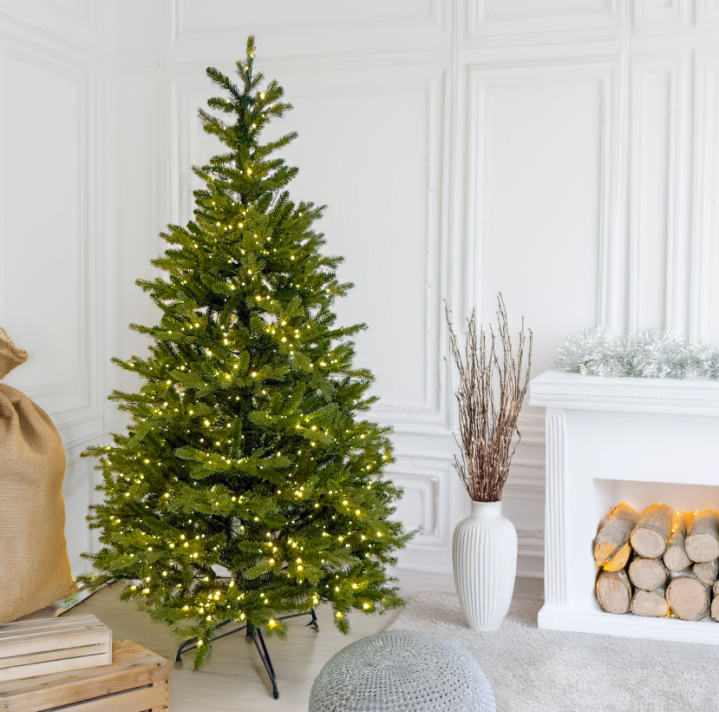 Capture d’écran 2025 11 26 100513