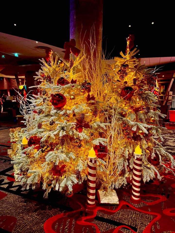Décoration Club Med Tignes 2