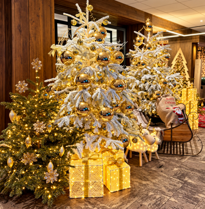 Décoration Club Med Val d'Isère