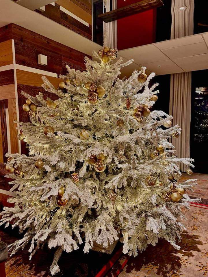 c5f6f64a d0a4 41c9 a05b 34bb112f6070