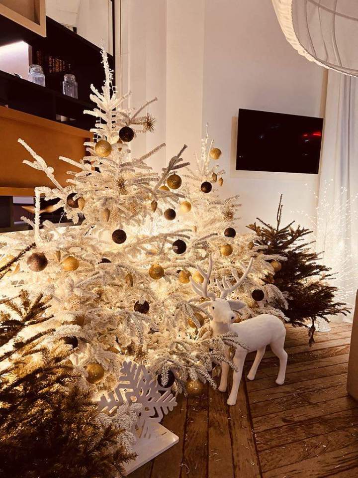 d81c8fb7 7ebb 4860 9575 47131b1bcc63